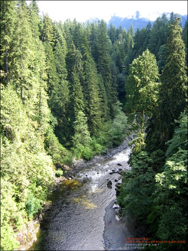 떠나고싶지 않았던 Vancouver(2)