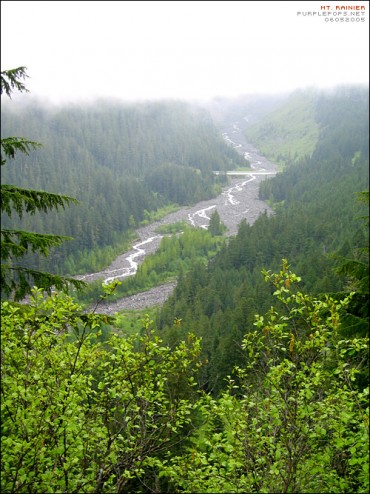 Mt. Rainier