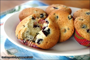 Blackberry Muffins