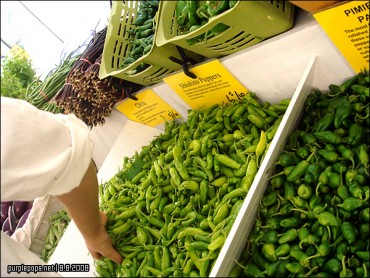 그 고추의 이름