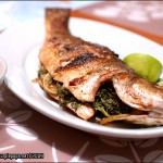 Baked Bronzini