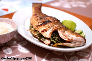 Baked Bronzini