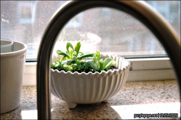 Corners of My Home 3