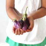 Fairy Tale Eggplants