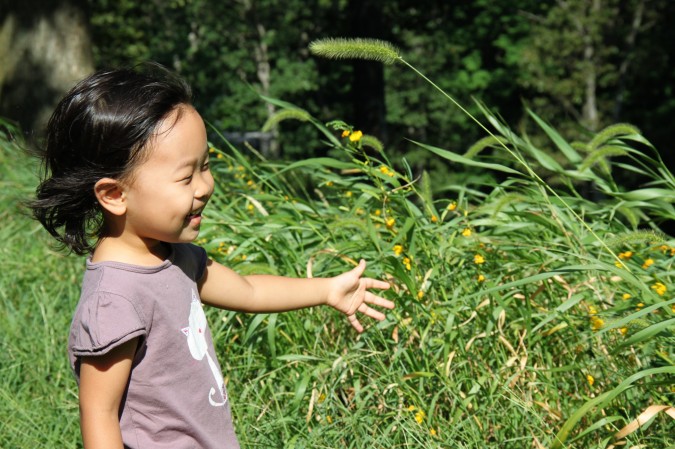 4899699635_45222572c7_o