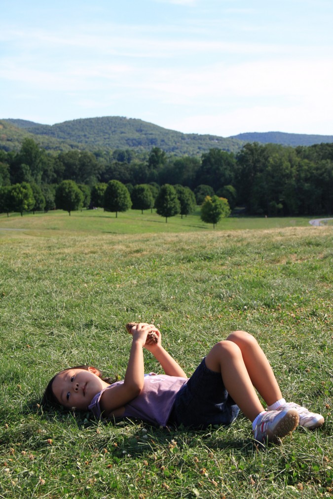 4900294526_b7559a2634_o