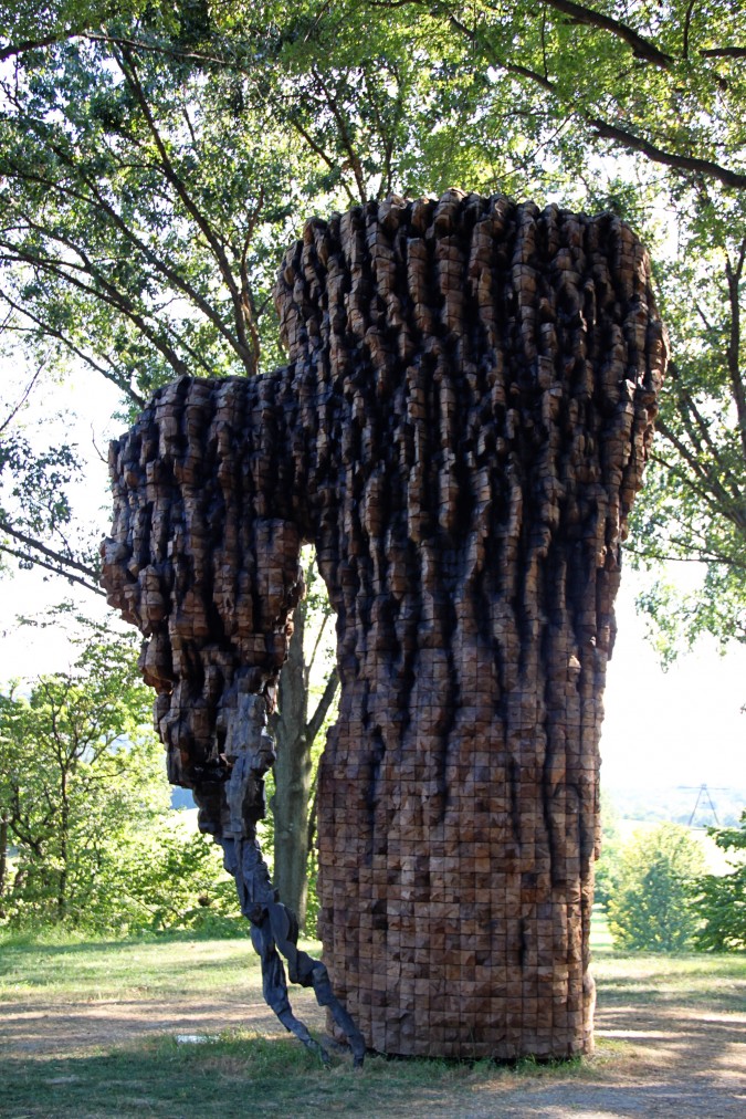 4900298578_f6820682b3_o