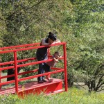 Storm King Art Center