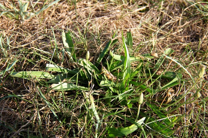 4900303448_37c15c9b9b_o