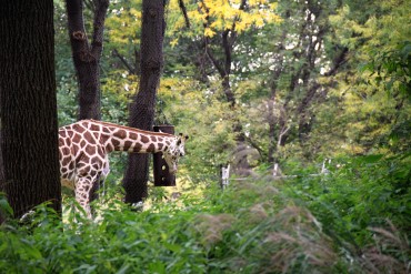 Bronx Zoo in October