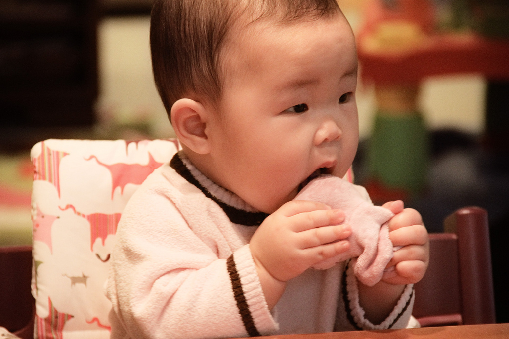 5098030337_dc45700e65_b