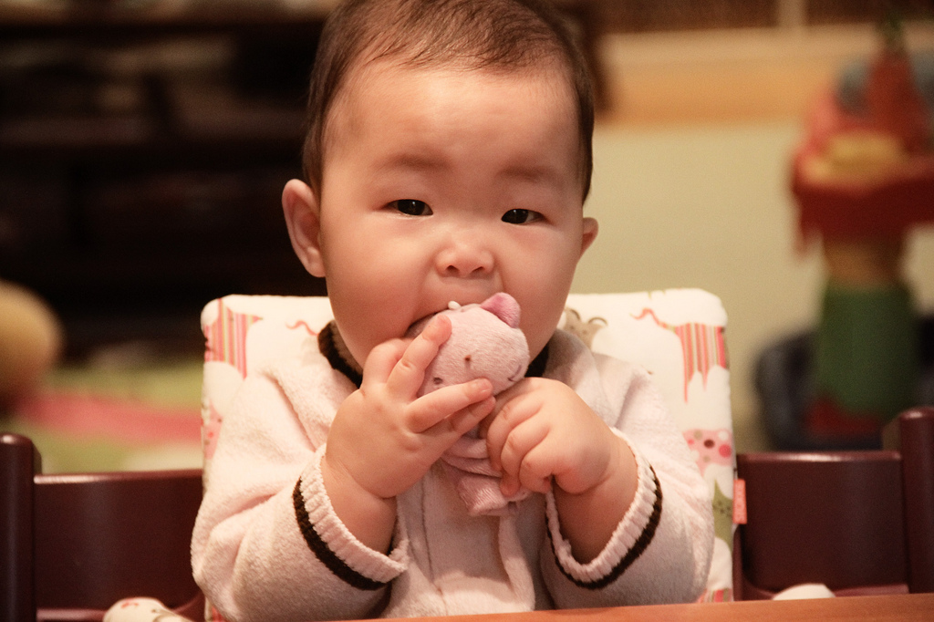 5098030891_45b28a89c8_b