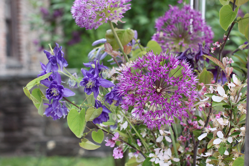 5724690695_99e553b2fe_b