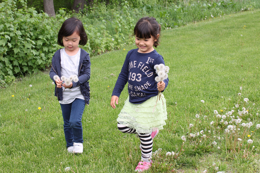 5724698737_2ee19a19d7_b