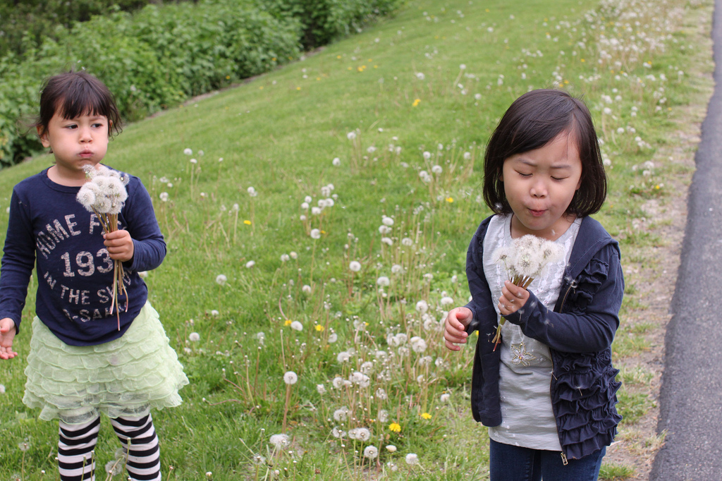 5724699475_bff4bc5662_b