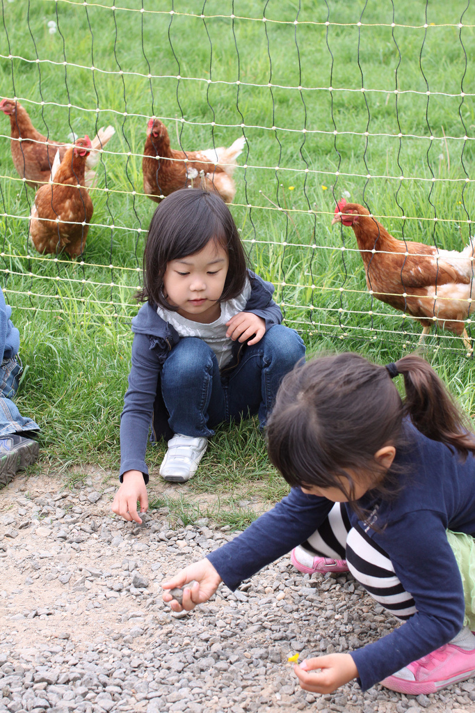 5724704077_8ff06445ba_b