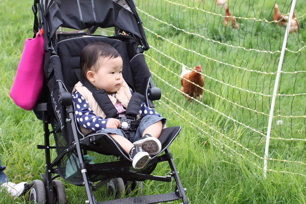 5724704795_b35cf1e559_b