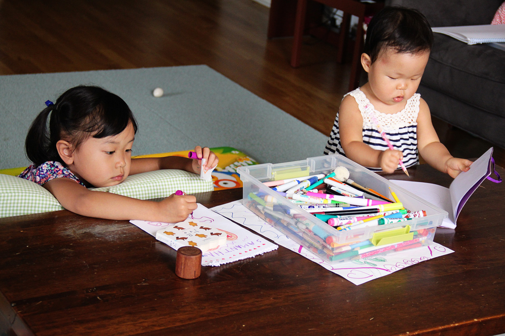 6023600287_84a746fd45_b