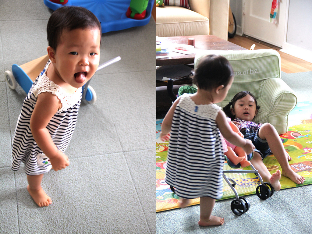 6023603347_272f9777cb_b