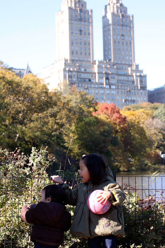 6330116681_a7264fab74_b