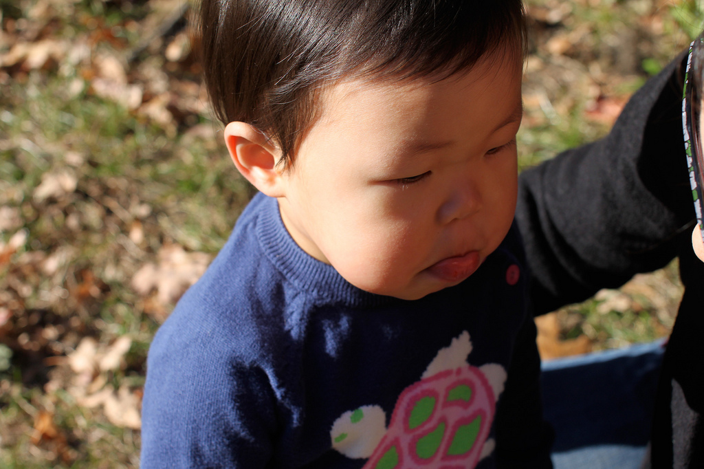 6330119141_c3124295f5_b