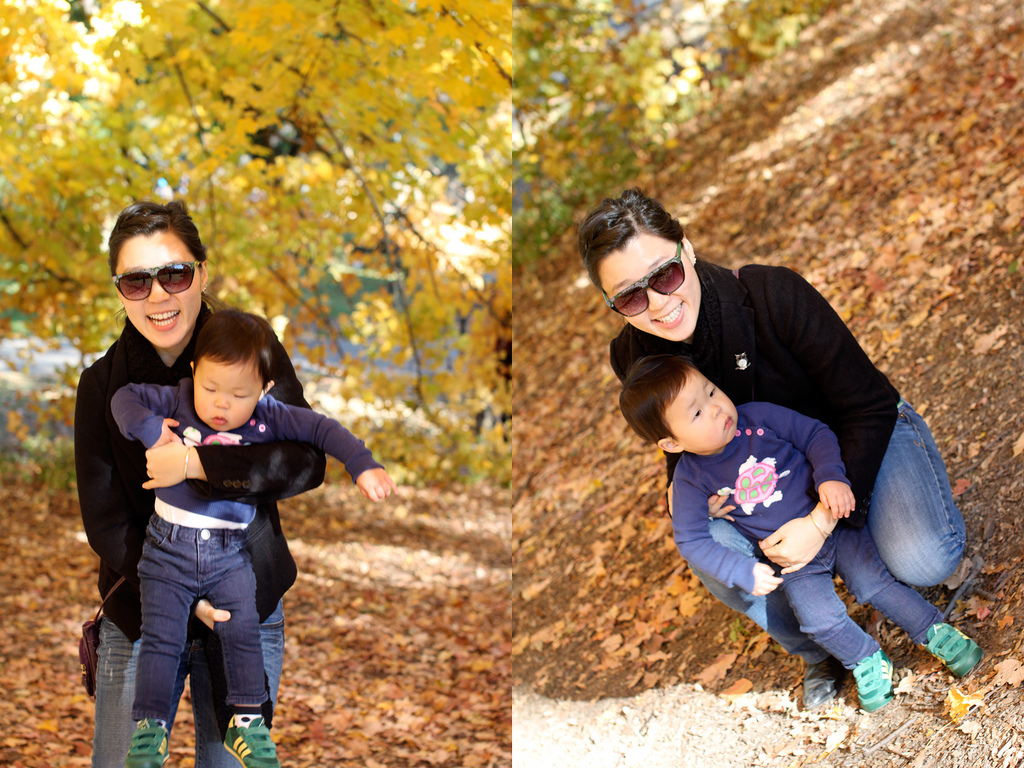 6330121405_ccde006603_b