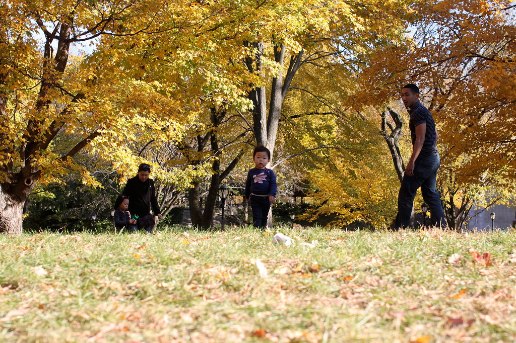 6330875740_11eb532b8a_b