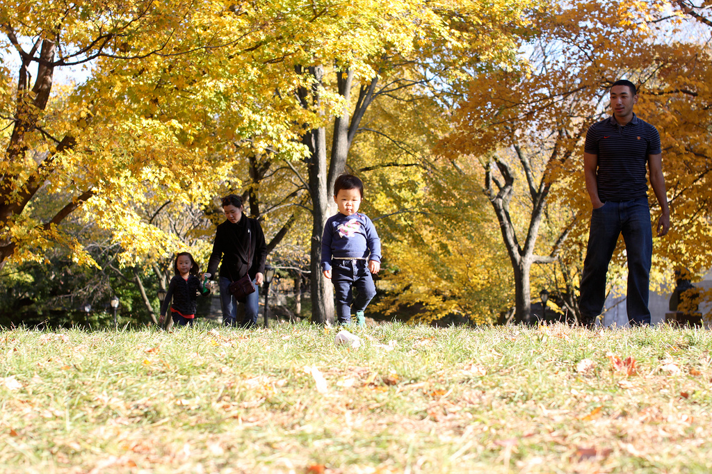 6330876690_a187fc8837_b