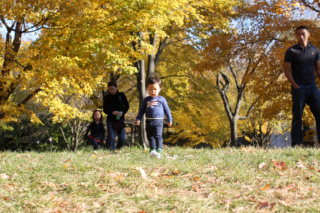 6330877626_7fdd68a5d0_b