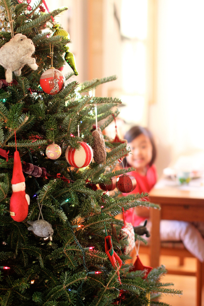 6508461389_d50cb6dfca_b