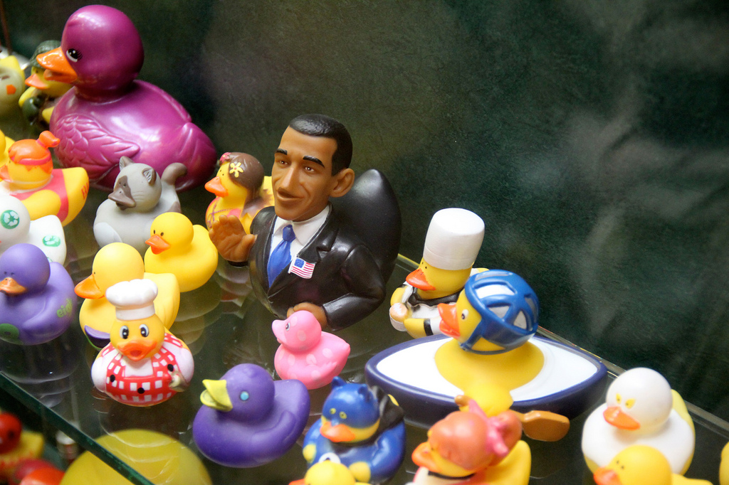 6946350828_d80678309c_b