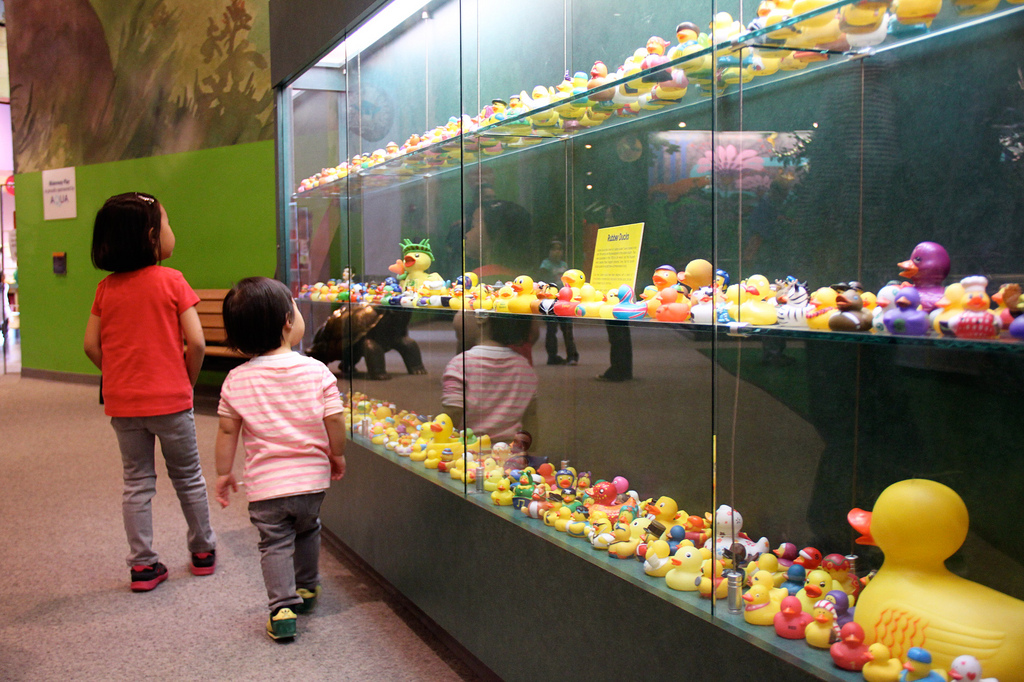 7092420477_258853fe70_b