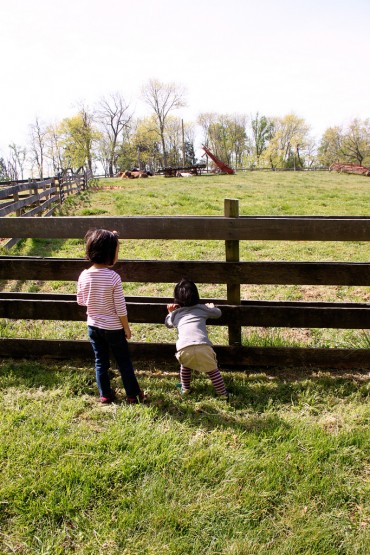 Day 3: Oxon Hill Farm, Fells Point