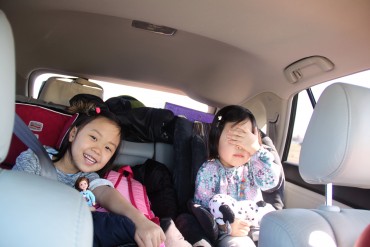 Road Trip to Georgia 1