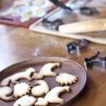 Japanese Butter Cookies