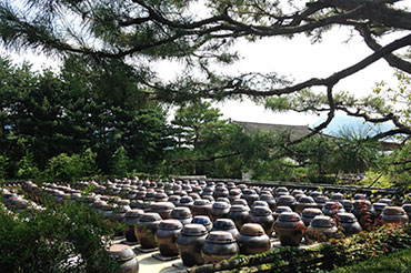 Korea 2014: 서일농원