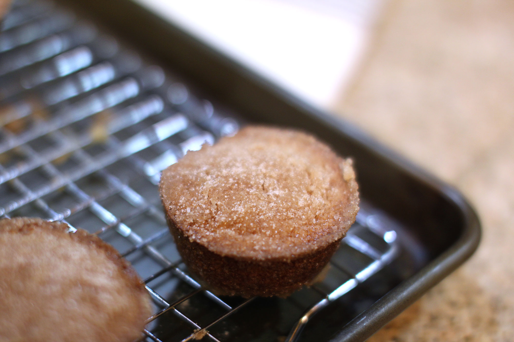 apple-cider-donut-muffin-5